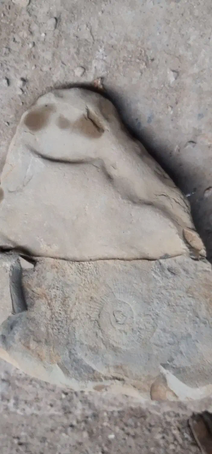 سنگ طبیعی|زیورآلات و اکسسوری|گنبد کاووس, |دیوار