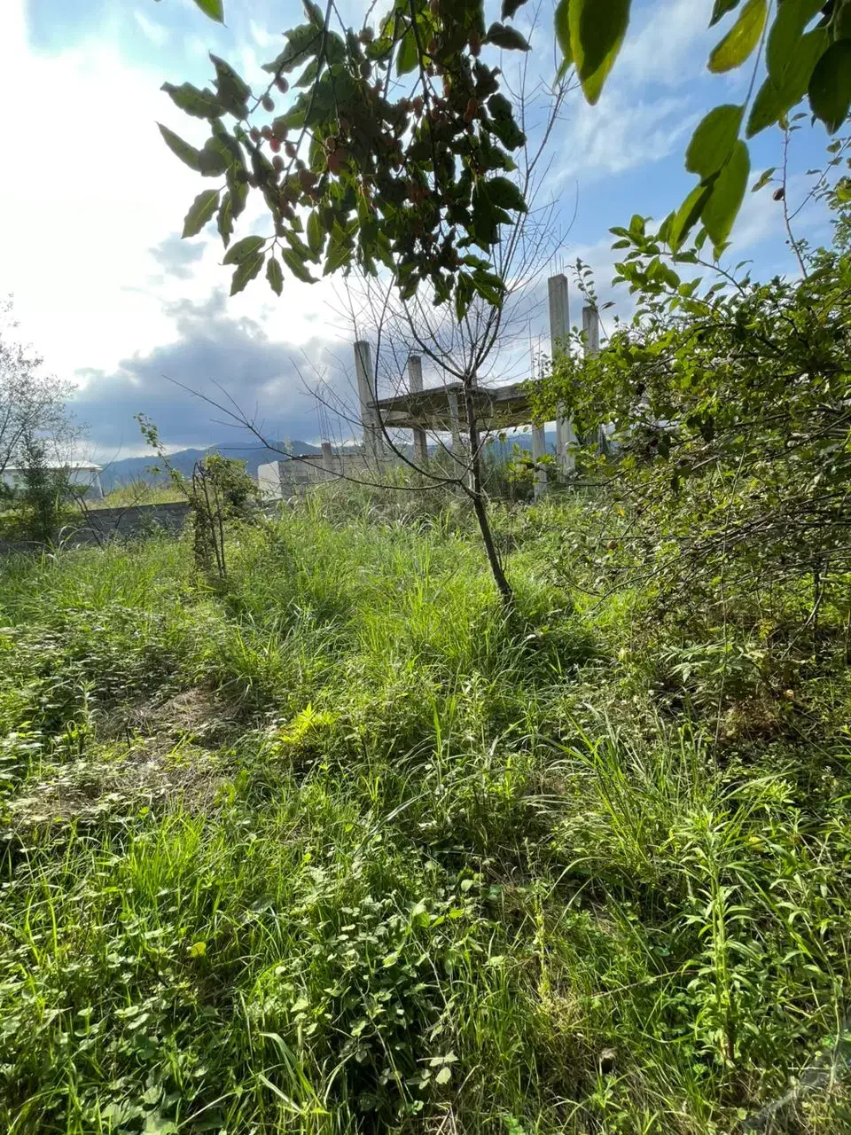 ویلا نیمه ساخت زمین۴۸۰متر تالش سیدنیکی|فروش خانه و ویلا|تالش, هشتپر|دیوار