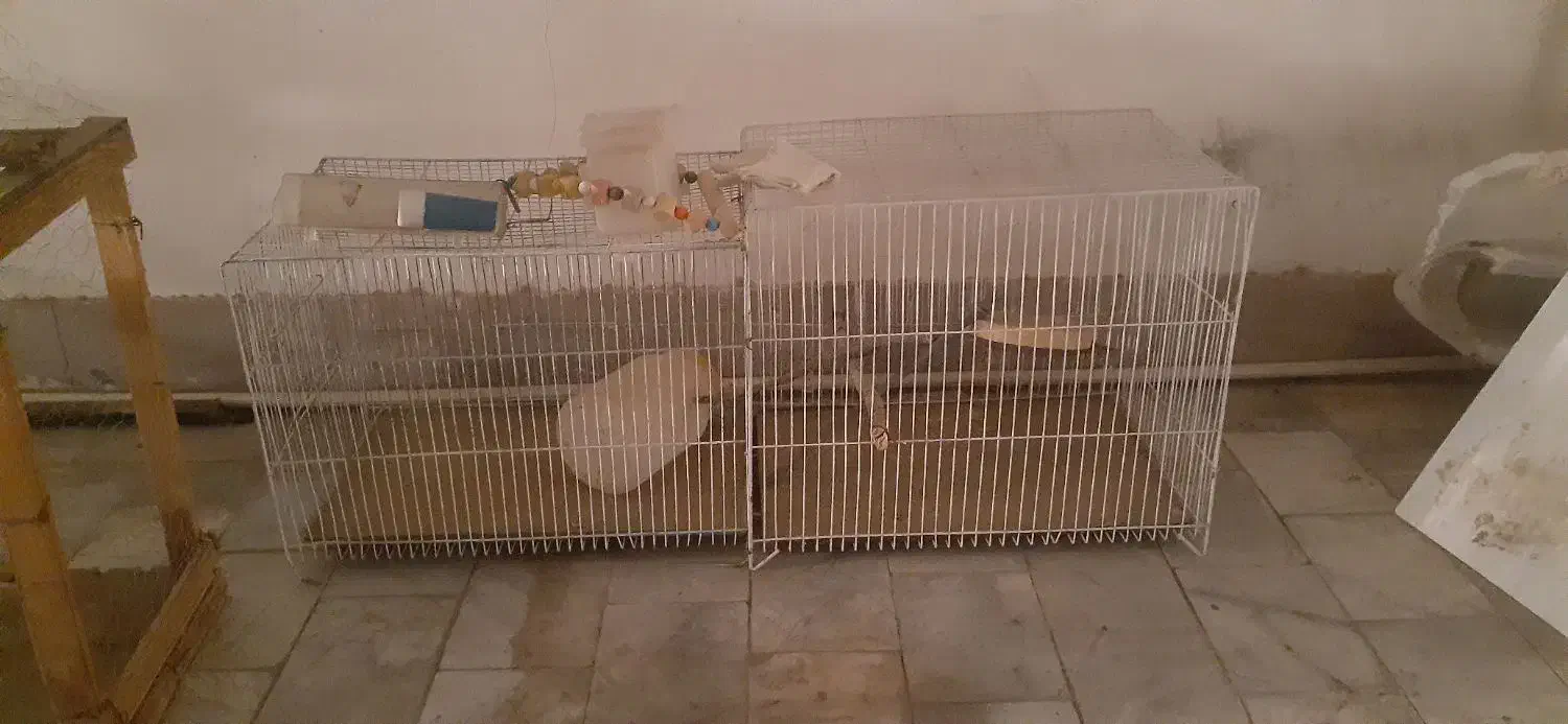 قفس پرنده|لوازم جانبی حیوانات|بیرجند, |دیوار