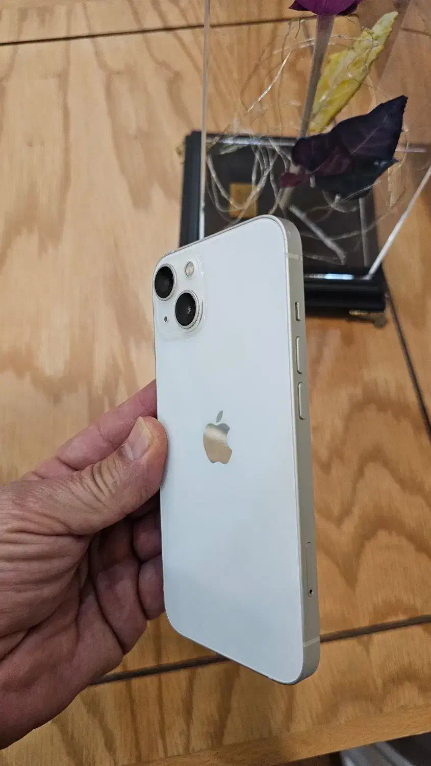 آیفون ۱۳ نرمال|موبایل|قم, شهرک قدس|دیوار