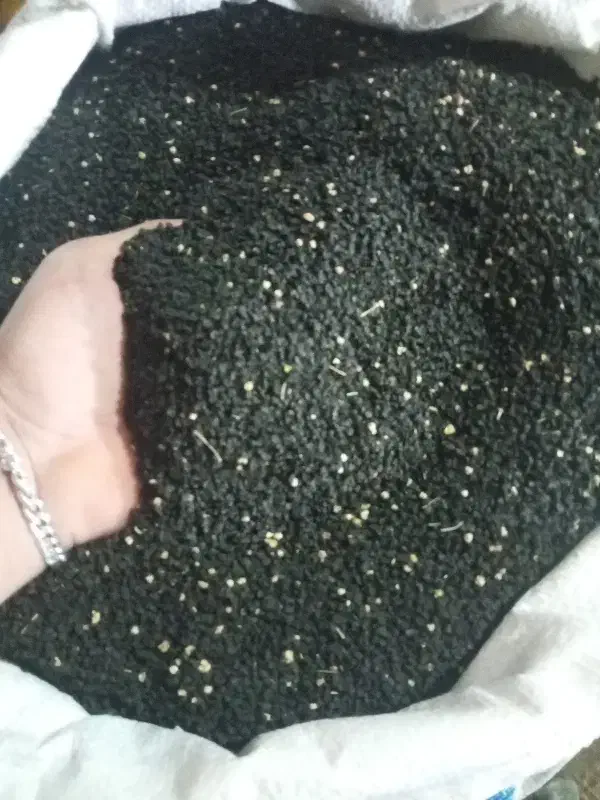 بذر پیاز قرمز|خدمات باغبانی و درختکاری|لیلان, |دیوار