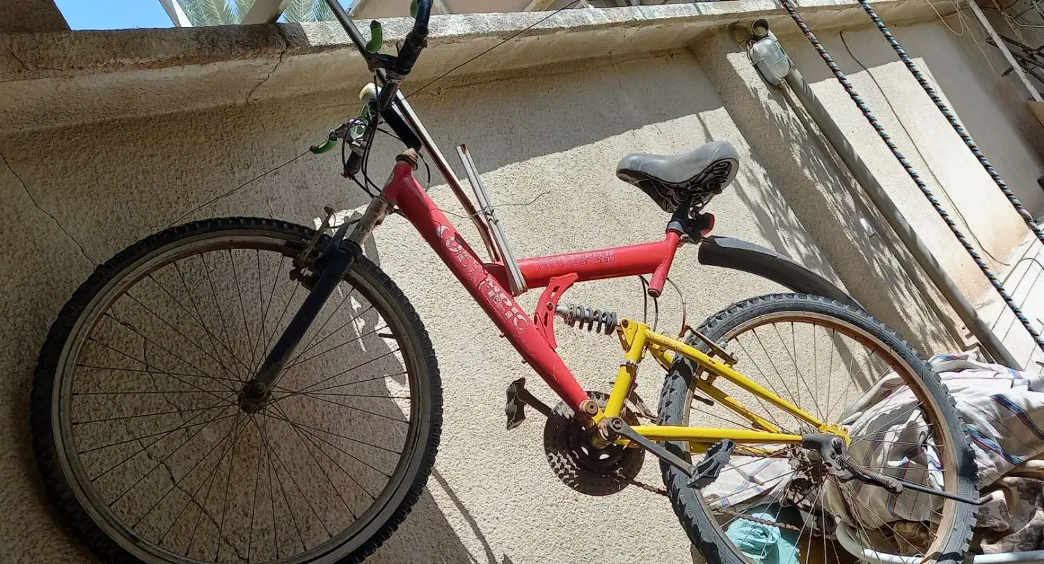 دوچرخه|دوچرخه، اسکیت، اسکوتر|شیراز, اصلاح‌نژاد|دیوار