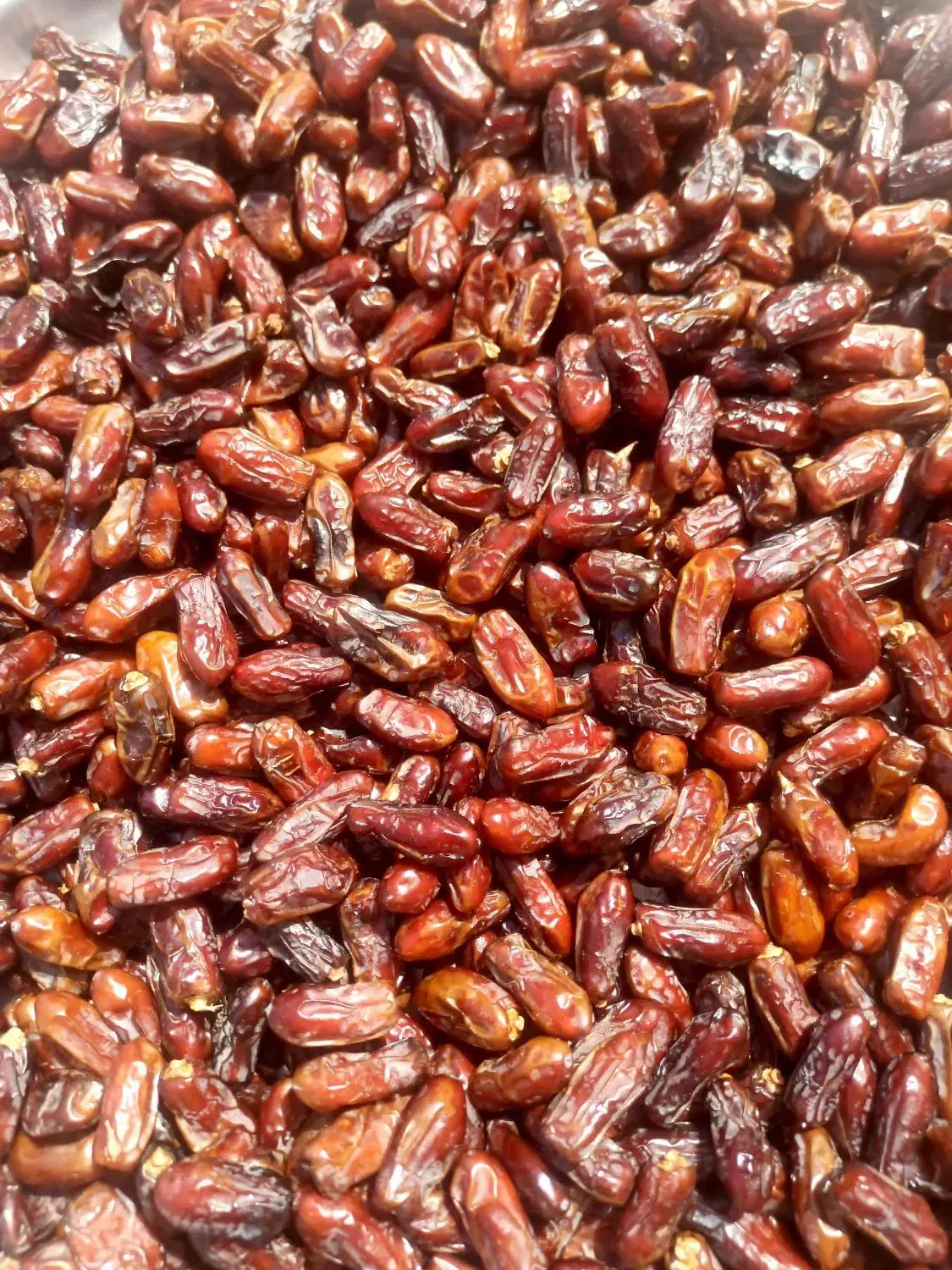 خرمای آجیلی|خوردنی و آشامیدنی|لامرد, |دیوار