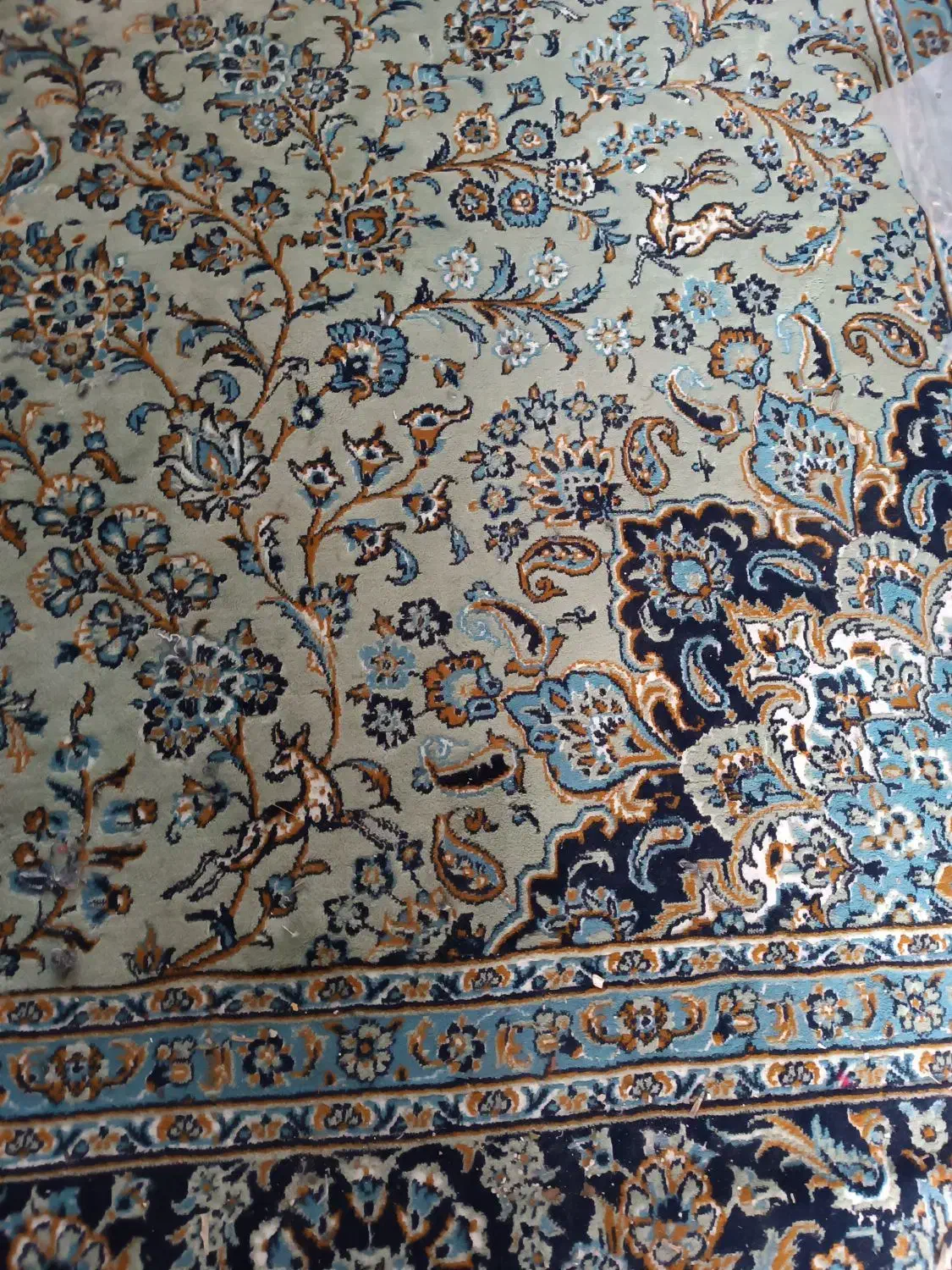 فرش 12متری|فرش|قائمشهر, |دیوار