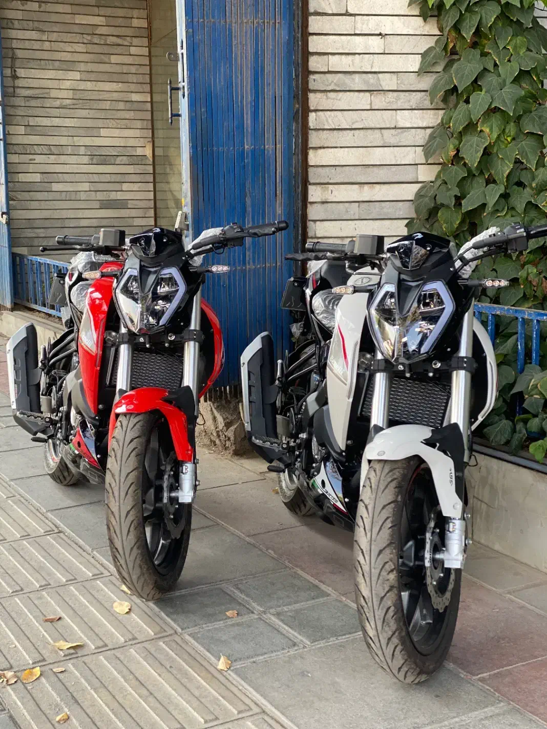 بنلی ۱۸۰S نیوفیس مدل۱۴۰۴خشک|موتورسیکلت|قم, باسکول|دیوار