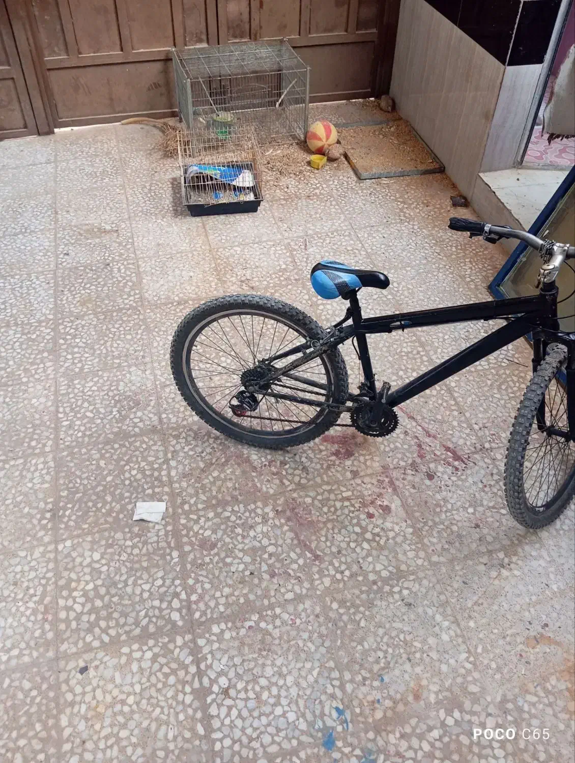 دوچرخه|دوچرخه، اسکیت، اسکوتر|کاکی, |دیوار