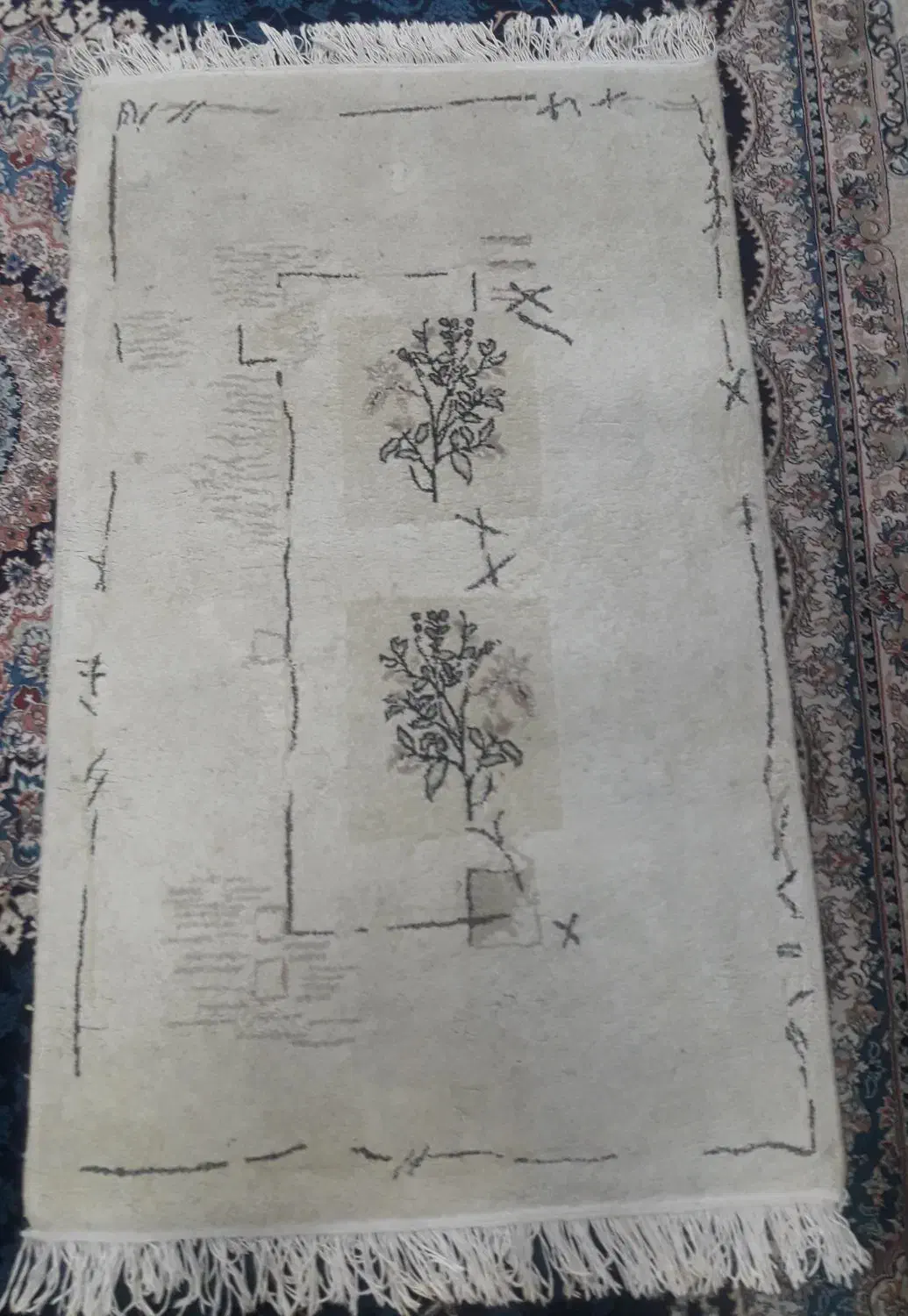 پادری|پادری|رشت, یخسازی|دیوار