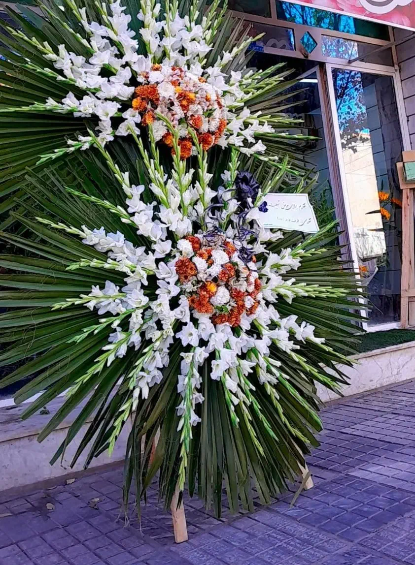 تاج گل|گل و گیاه طبیعی|گلپایگان, |دیوار