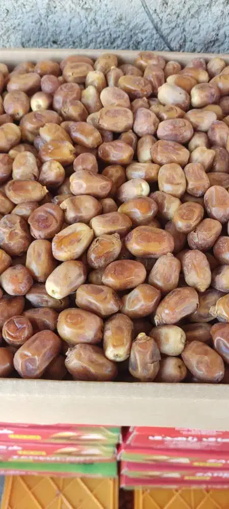 خرما کبکاب و زاهدی ارسال از خشت و تهران|خوردنی و آشامیدنی|تهران, شهرک چیتگر|دیوار