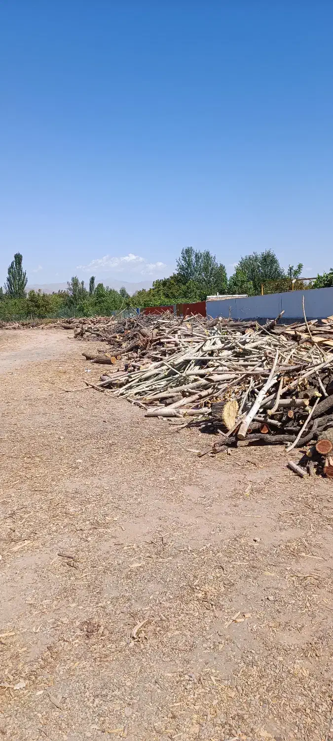 کارگر ساده ولی کاری|استخدام صنعتی، فنی، مهندسی|مرند, |دیوار