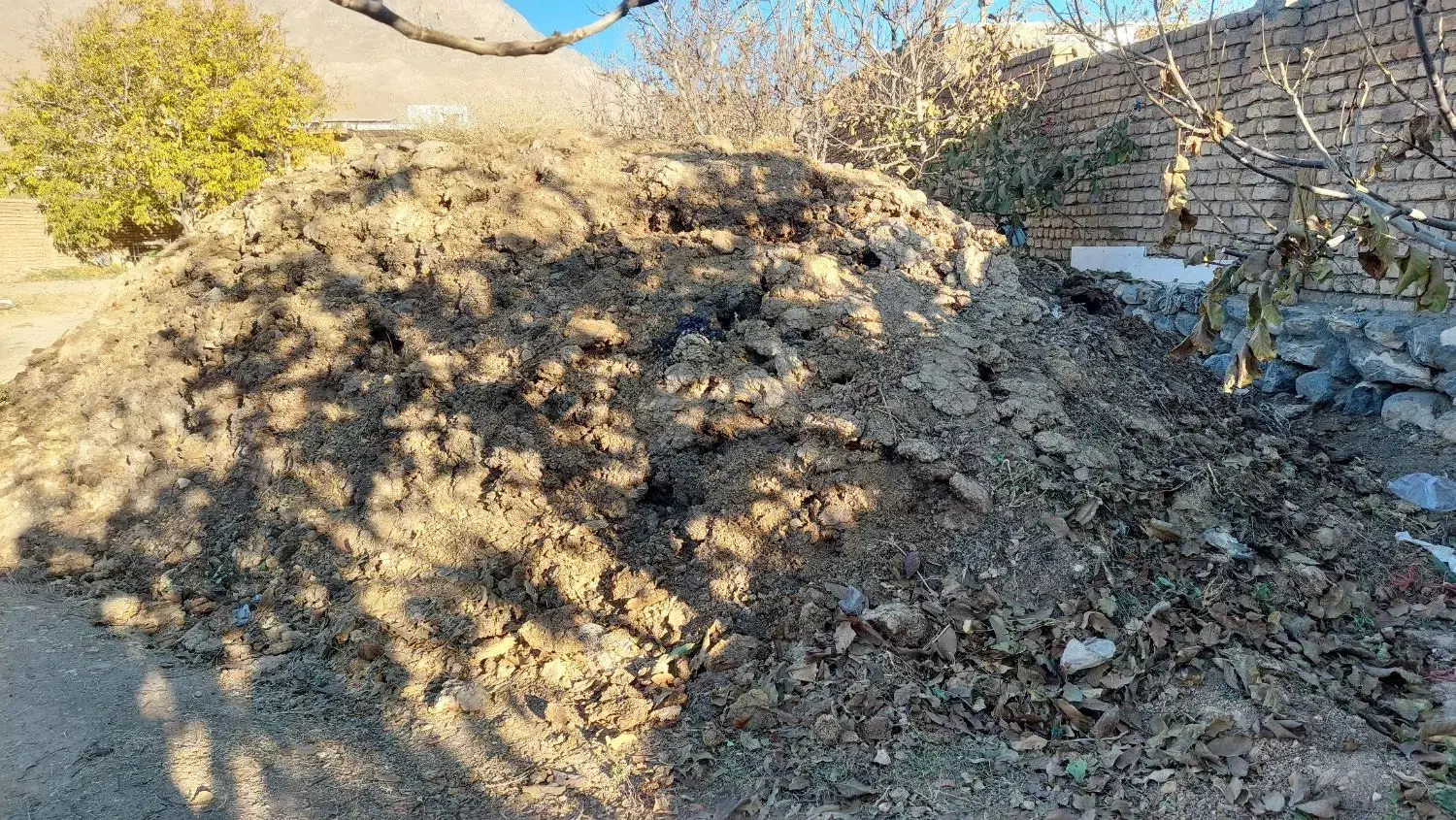 کود حیوانی|خدمات باغبانی و درختکاری|داران, |دیوار