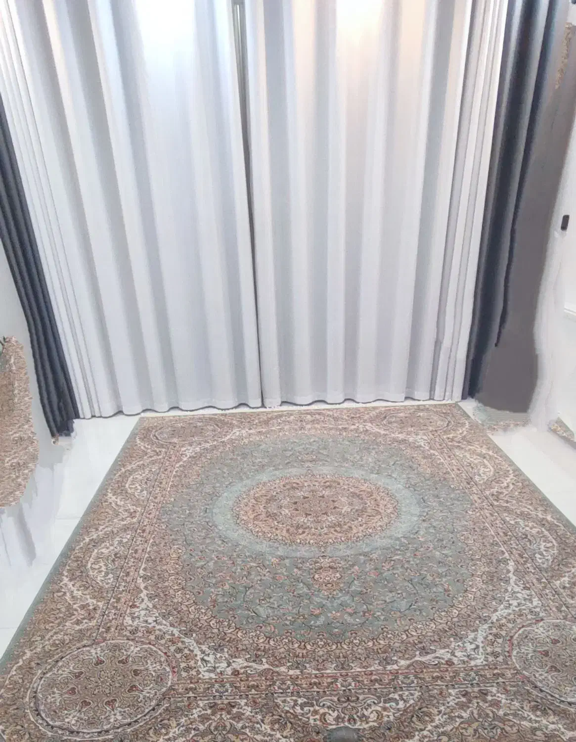 فرش تیراژه کاشان ریز نقش دست بافت گونه|فرش|شیراز, معالیآباد|دیوار