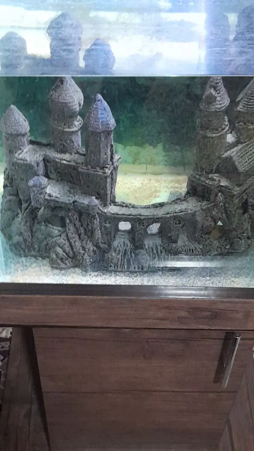 اکواریوم با لجن خوار طلایی و لوازم|ماهی|اسلامشهر, شهرک قائمیه|دیوار