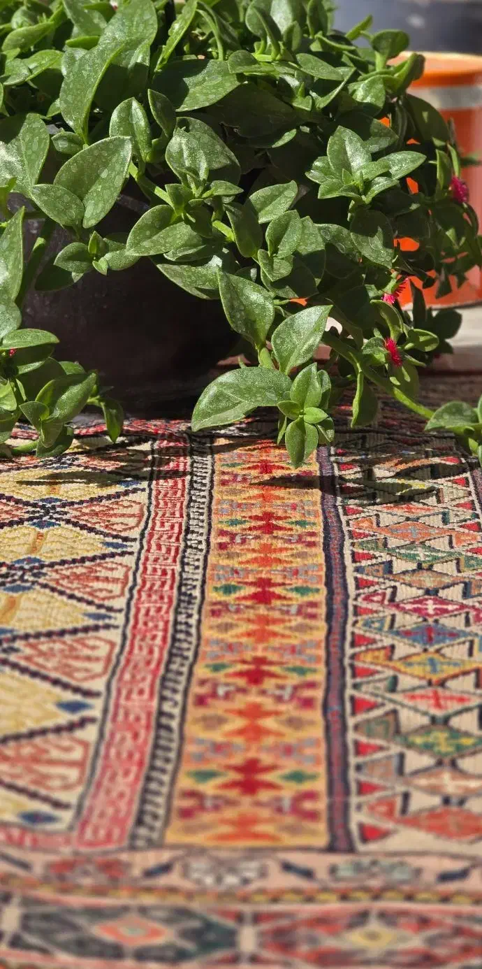 گلیم شیرکی پیچ سیرجان|گلیم، جاجیم، گبه|سیرجان, |دیوار