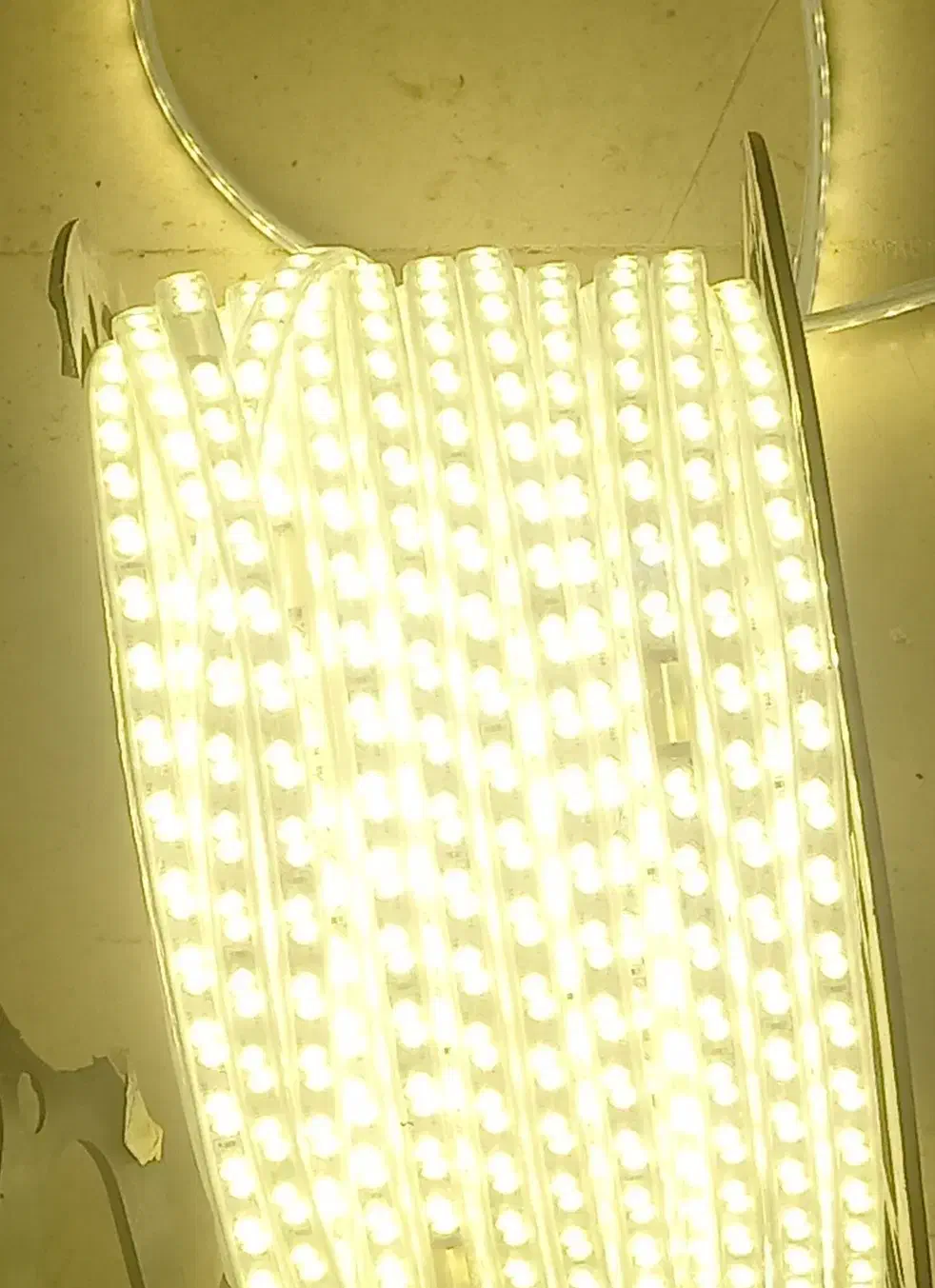 ریسه شلنگی کلاف کامل|لامپ و چراغ|نشتارود, |دیوار