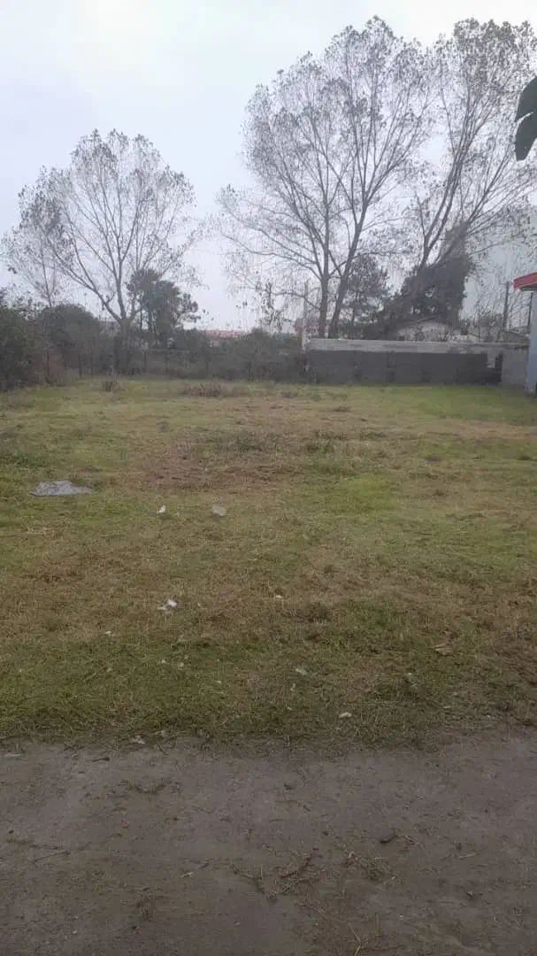 خدمات کوتاهی چمن و زدن علف های هرز|خدمات باغبانی و درختکاری|بندر انزلی, سی متری|دیوار