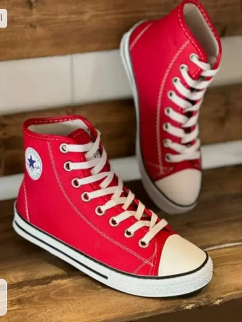 آلستار ساقدار فقط 289000|کیف، کفش، کمربند|دوگنبدان, |دیوار