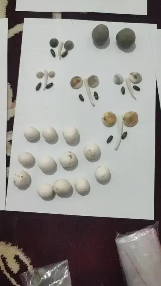 اصل تضمینی|جواهرات|پرند, فاز ۶|دیوار