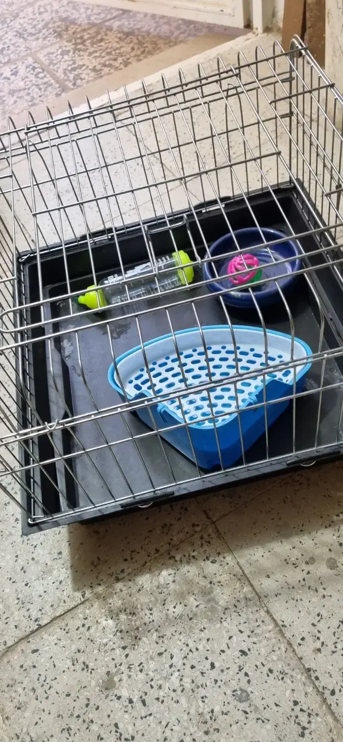 قفس خرگوش با لوازم قفس همستر قفس خوکچه هندی|لوازم جانبی حیوانات|شهریار, شهریار|دیوار