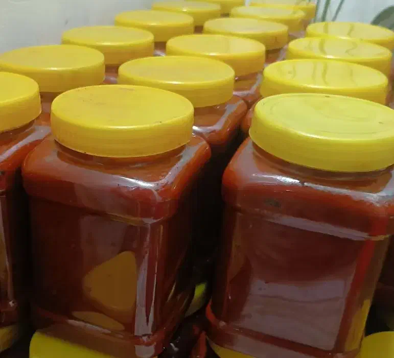 رب خانگی|خوردنی و آشامیدنی|سبزوار, هویزه|دیوار