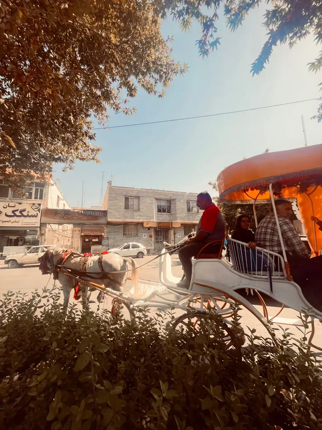 تور قزوین جمعه۱۴ آذر|تور و چارتر|رشت, حاجی آباد|دیوار