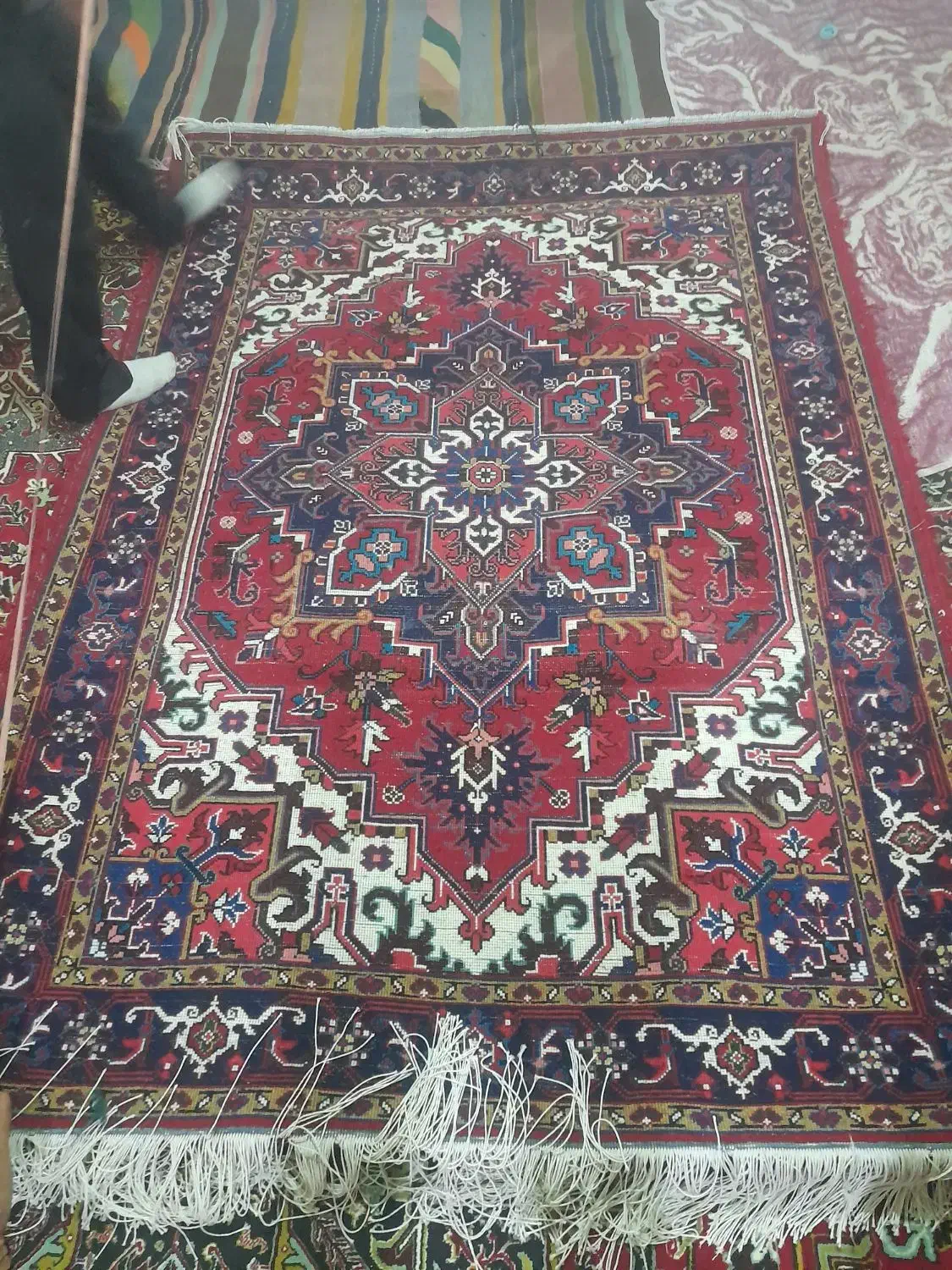 فرش هریس تاجری قالیچه|فرش|تبریز, |دیوار