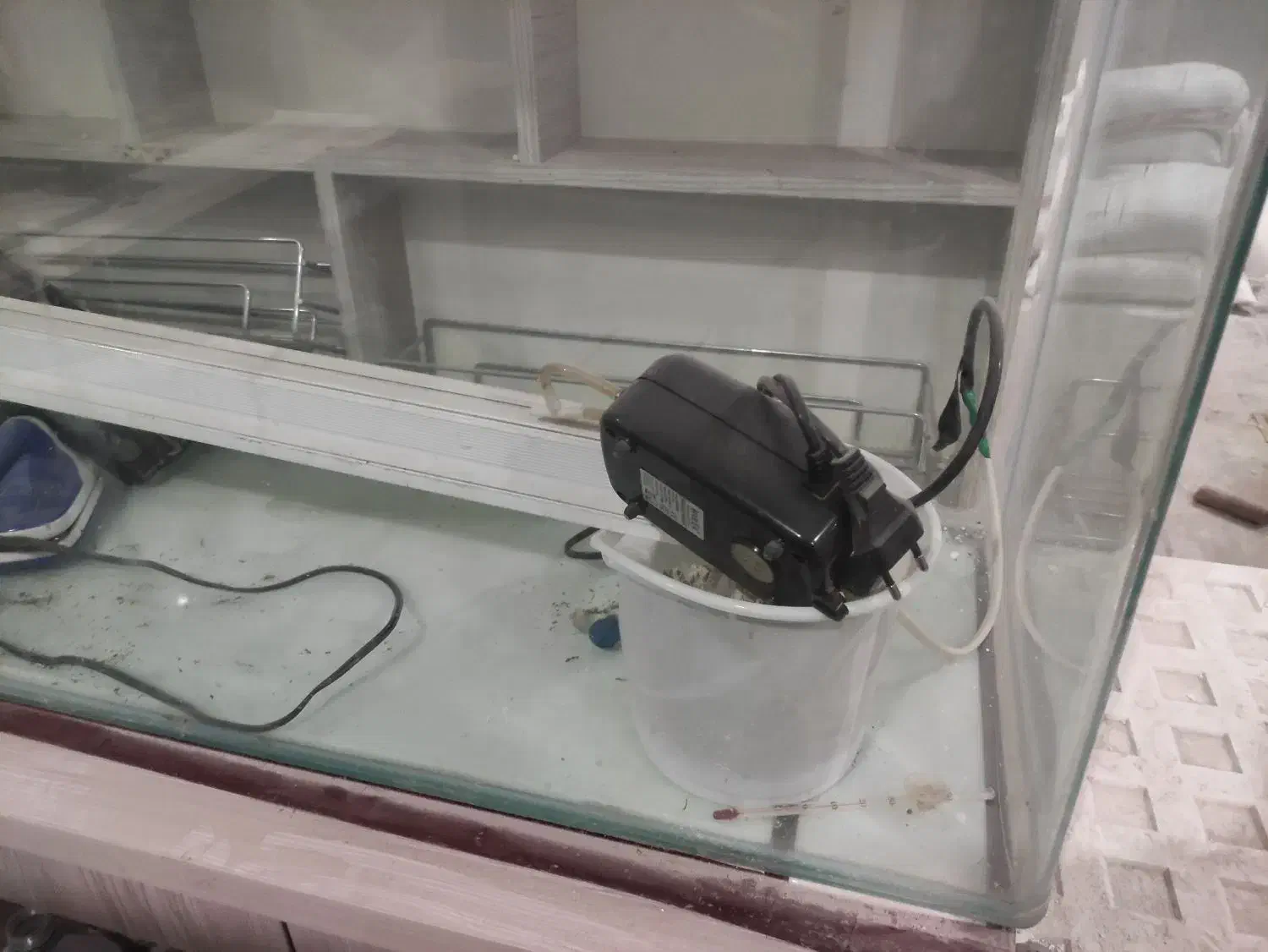 آکواریوم همراه با وسایل|ماهی|مشهد, شهید بهشتی|دیوار