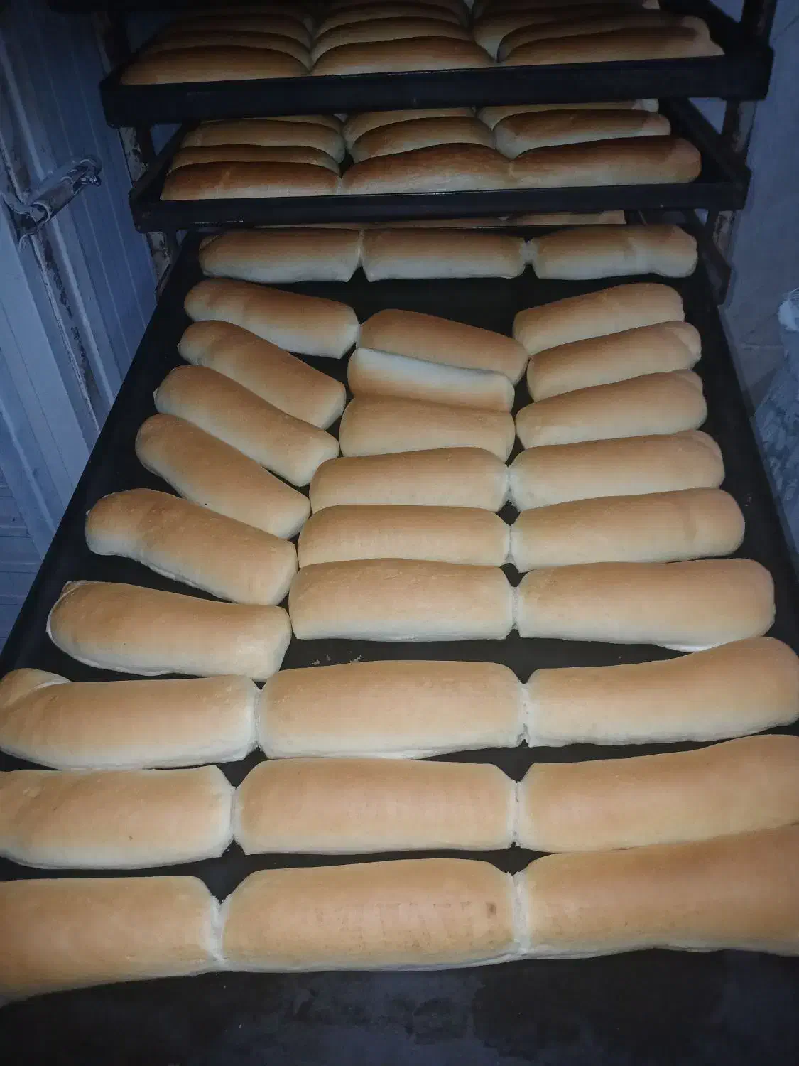 همکار خانوم در نان فانتزی ۷ صبح تا ۲ونیم ظهر|استخدام خدمات فروشگاه و رستوران|تهران, کن|دیوار