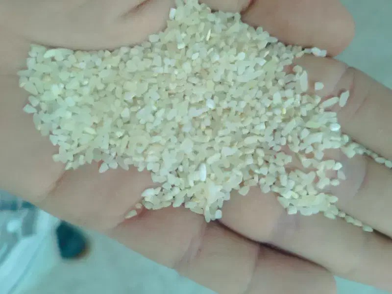 نیم دانه برنج کامفیروزی|خوردنی و آشامیدنی|مرودشت, ثبت احوال|دیوار