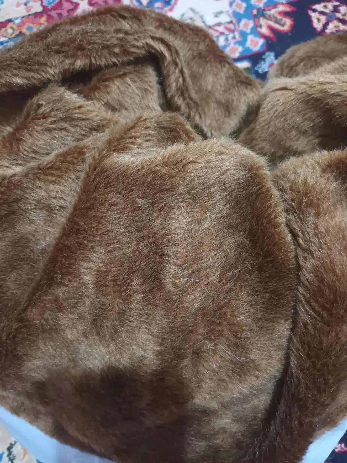 جنس پشمی|لباس|بروجرد, |دیوار