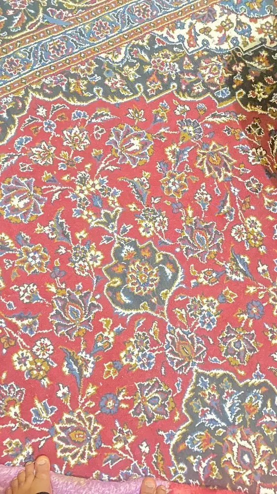 فرش|فرش|مشهد, کوی دروی|دیوار