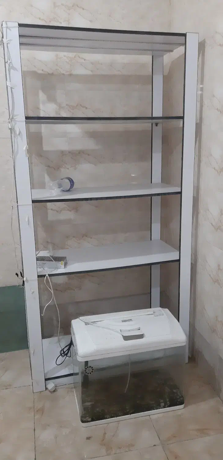 اکواریم + میز + قفسه|ماهی|رشت, حومه رشت|دیوار