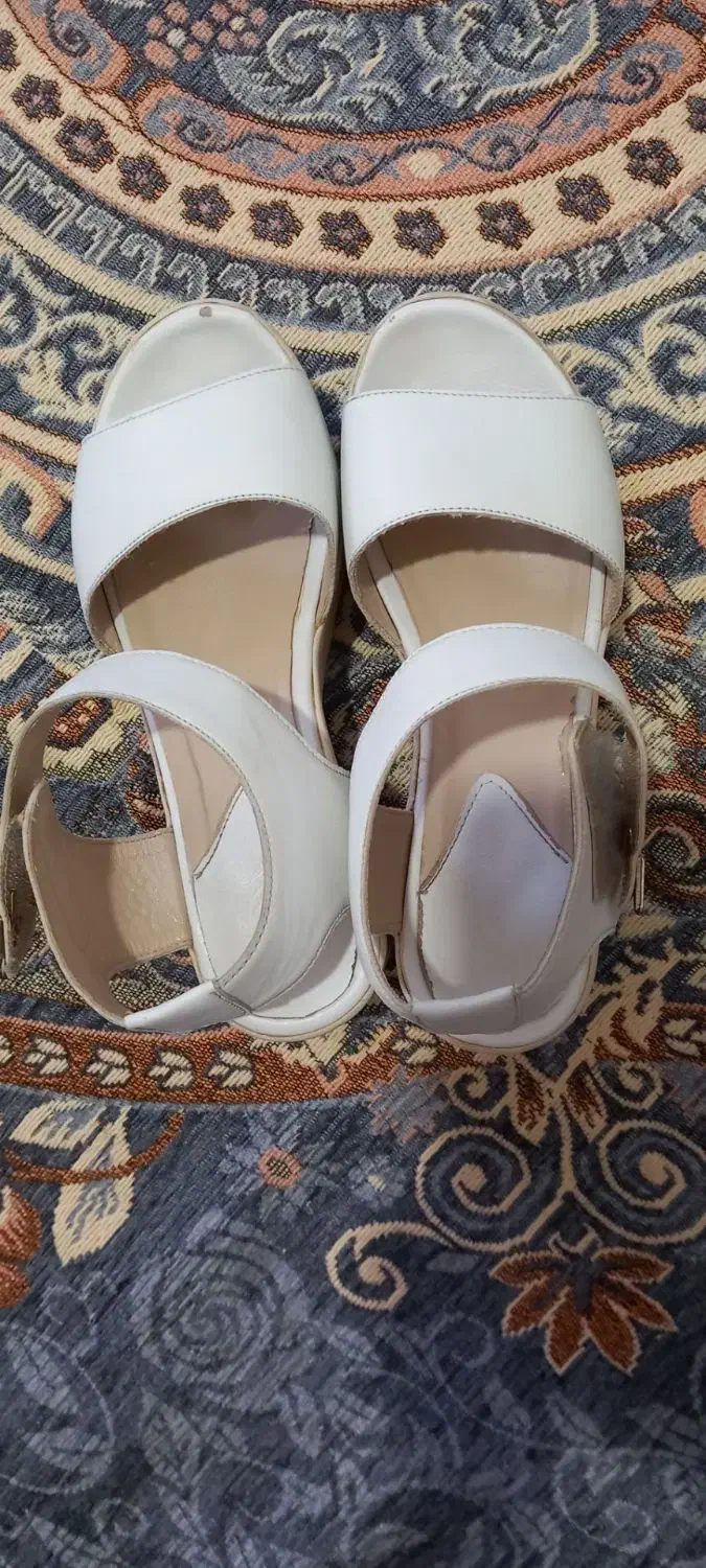 کیف و کفش|کیف، کفش، کمربند|سنقر, |دیوار