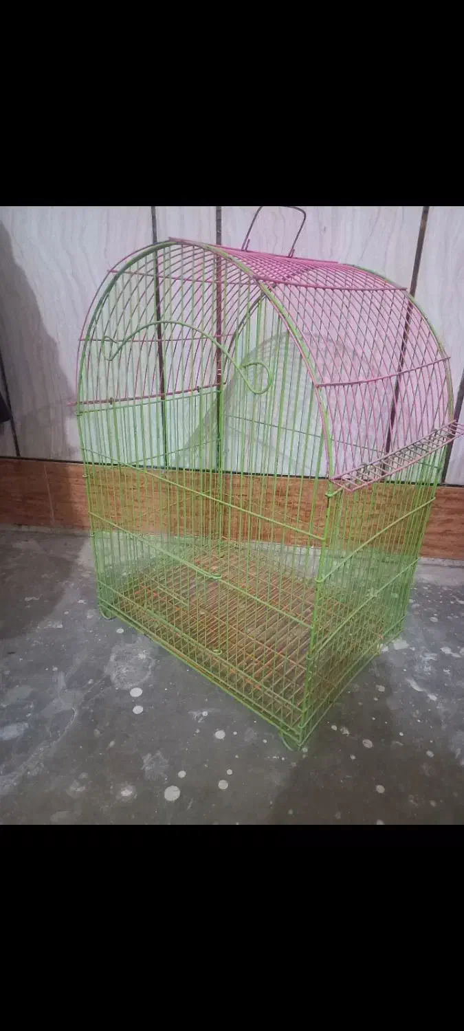 قفس|پرنده|مسجد سلیمان, |دیوار