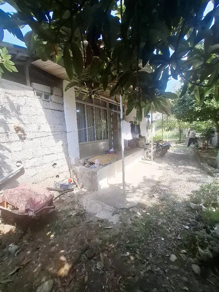 ویلا جنگلی با ساحل ۸دقیقه|فروش خانه و ویلا|رشت, بازار|دیوار