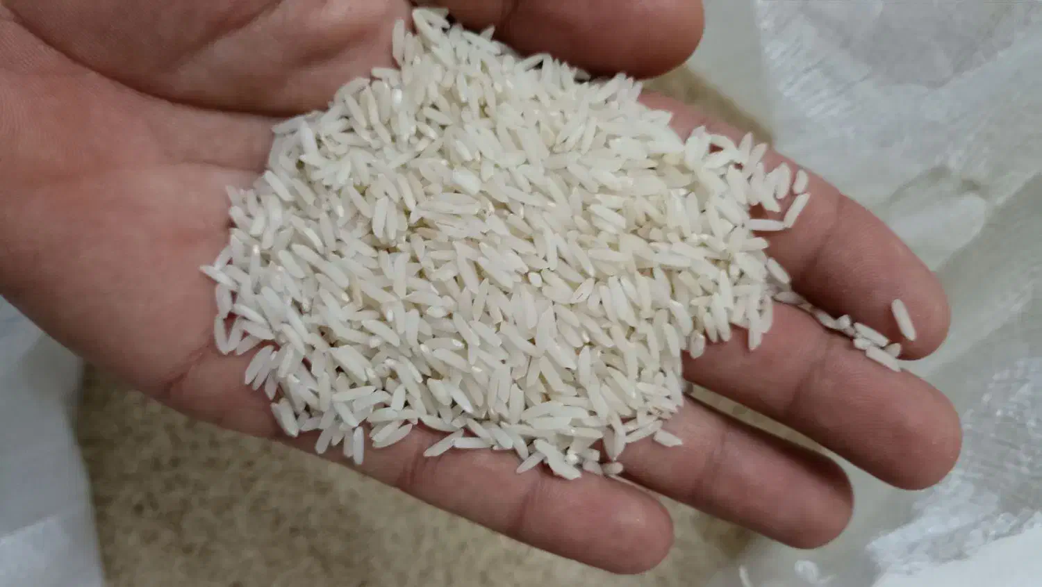 برنج هاشمی محصول خودم|خوردنی و آشامیدنی|رشت, باهنر|دیوار