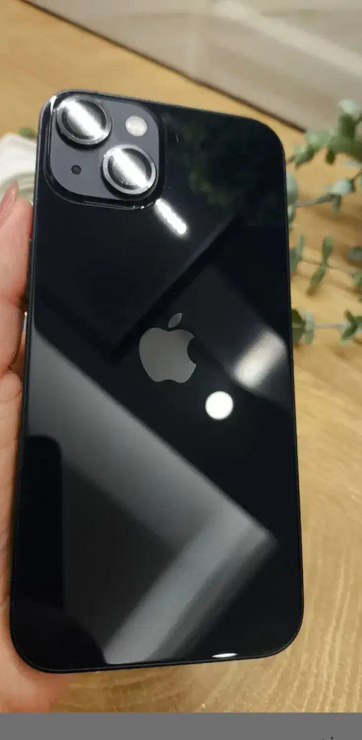 آیفون۱۳نرمال|موبایل|ماسال, |دیوار