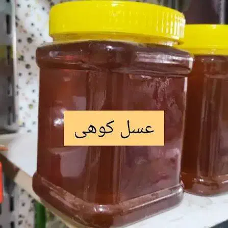 عسل خالص سبلان|خوردنی و آشامیدنی|مشگین شهر, |دیوار