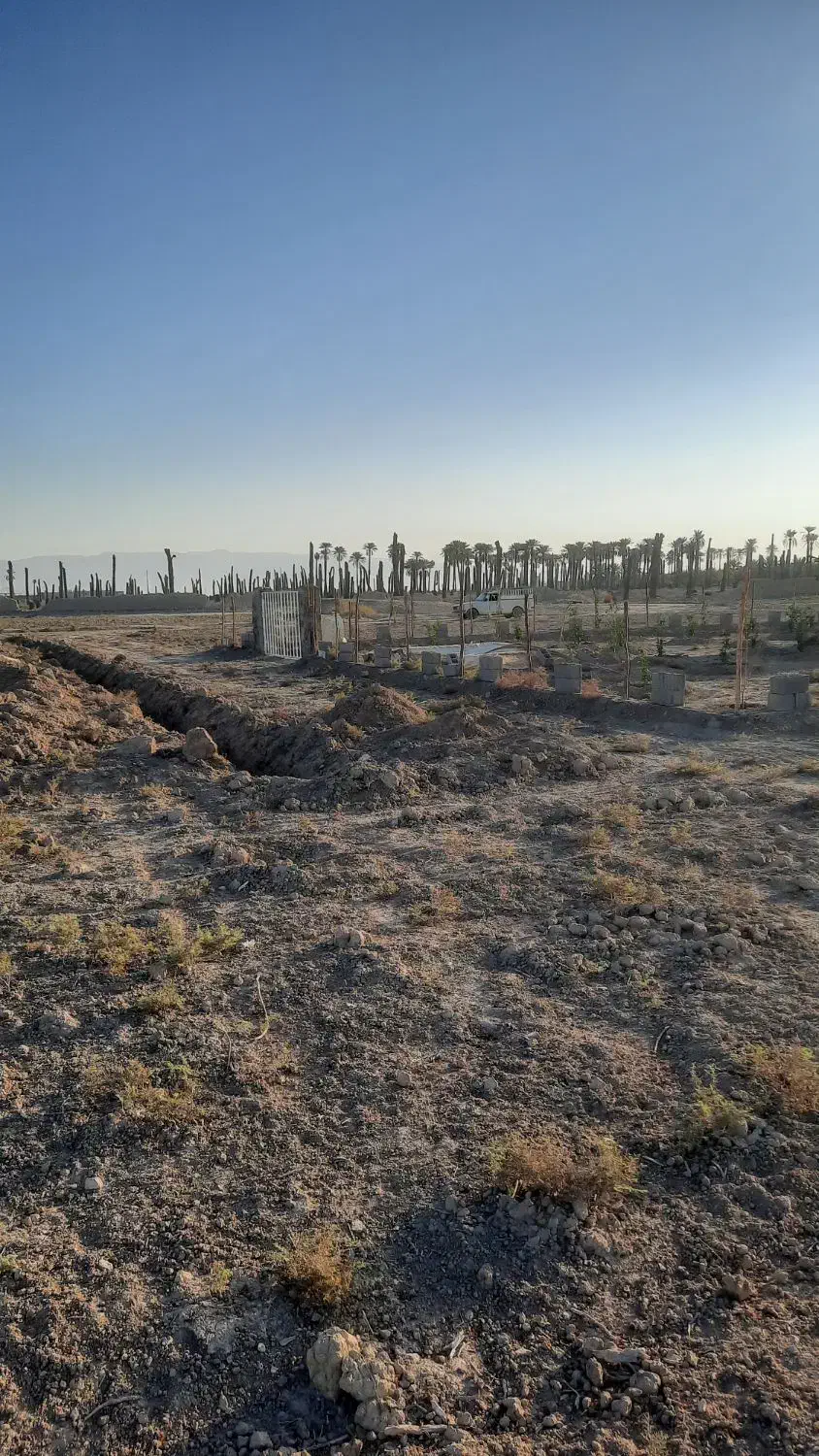 فروش2قطعهزمینهرکدومبهمتراژ400..|فروش زمین و ملک کلنگی|جهرم, |دیوار