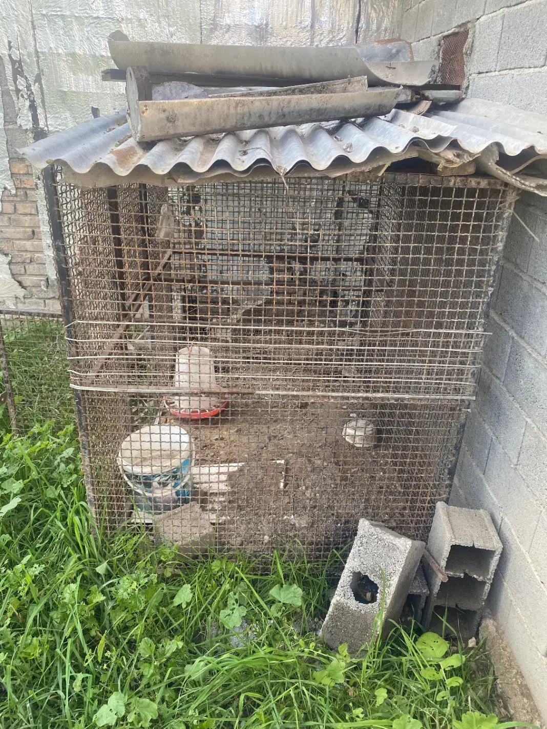 قفس آهنی مخصوص نگهداری حیوانات|لوازم جانبی حیوانات|قائم‌شهر, |دیوار