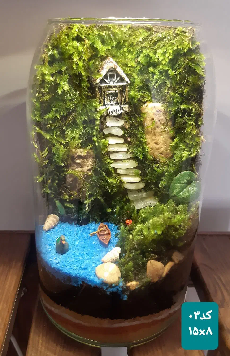 تراریوم (باغ شیشه‌ای) یک هدیه خاص و زیبا|گل و گیاه طبیعی|قم, نیروگاه|دیوار