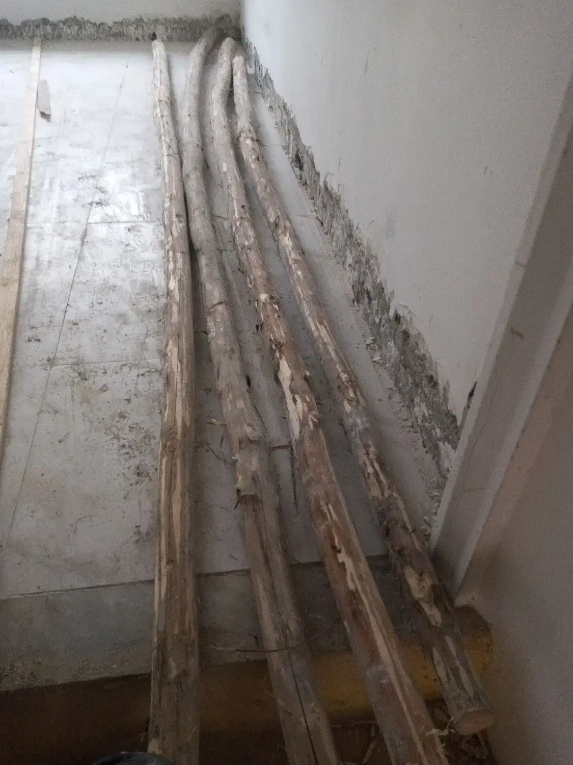 چوب|مصالح و تجهیزات ساختمان|رشت, کوی امام رضا|دیوار