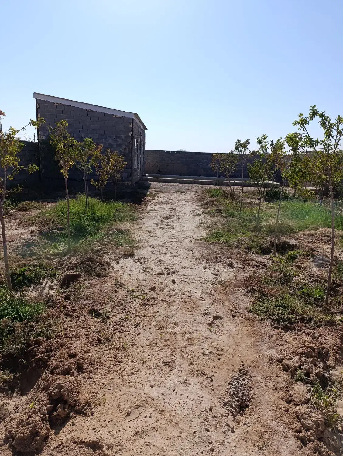 باغ فروشی انتهای کشمیری37|فروش زمین و ملک کلنگی|مشهد, شهید علی محمدی|دیوار