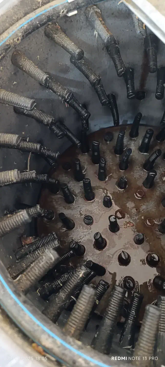 پرکن مرغ|لوازم جانبی حیوانات|دره شهر, |دیوار