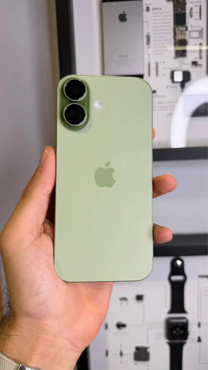 آیفون ۱۷ نرمال نو|موبایل|شیراز, ارم|دیوار