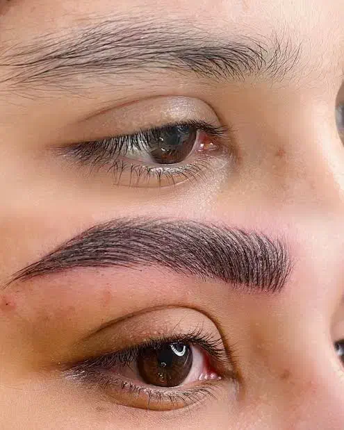 میکروبلیدینگ ابرو،شیدینگ لب،خط چشم و بن مژه.|خدمات آرایشگری و زیبایی|تهران, سلسبیل شمالی|دیوار