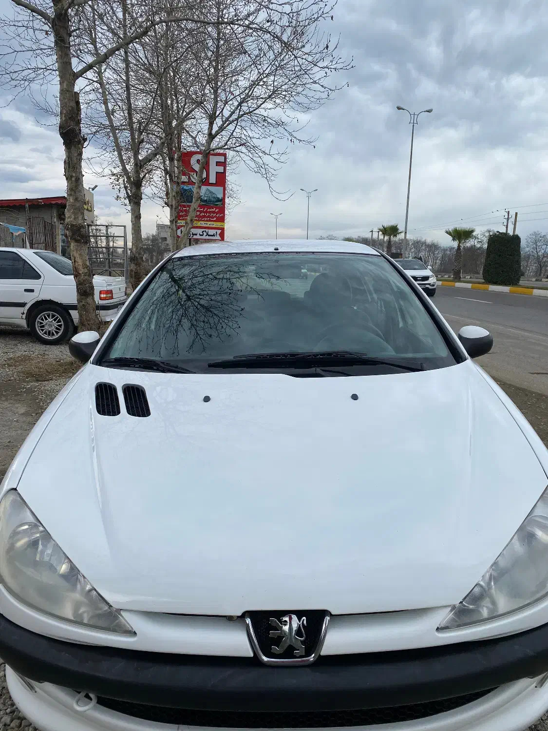 پژو ۲۰۶ تیپ۲ مدل ۹۹|خودرو سواری و وانت|رامسر, |دیوار