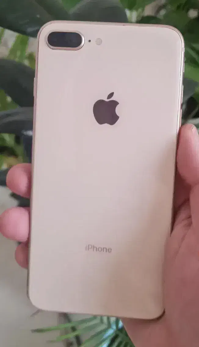 8plus|موبایل|اشنویه, |دیوار