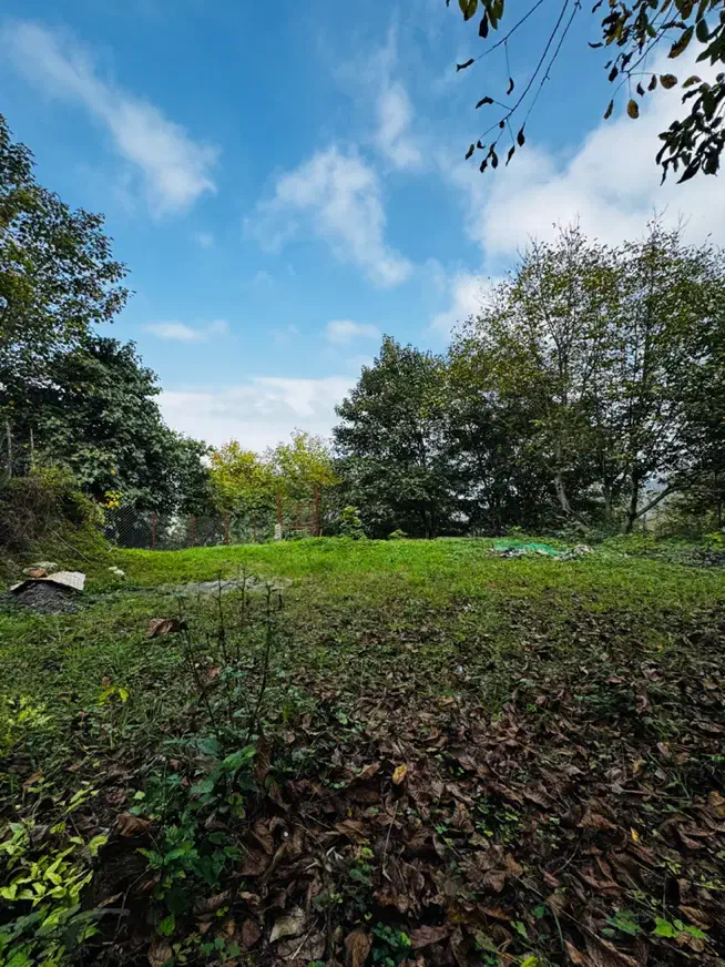 430متر زمین مسکونی با مجوز ساخت دو طبقه|فروش زمین و ملک کلنگی|توتکابن, |دیوار