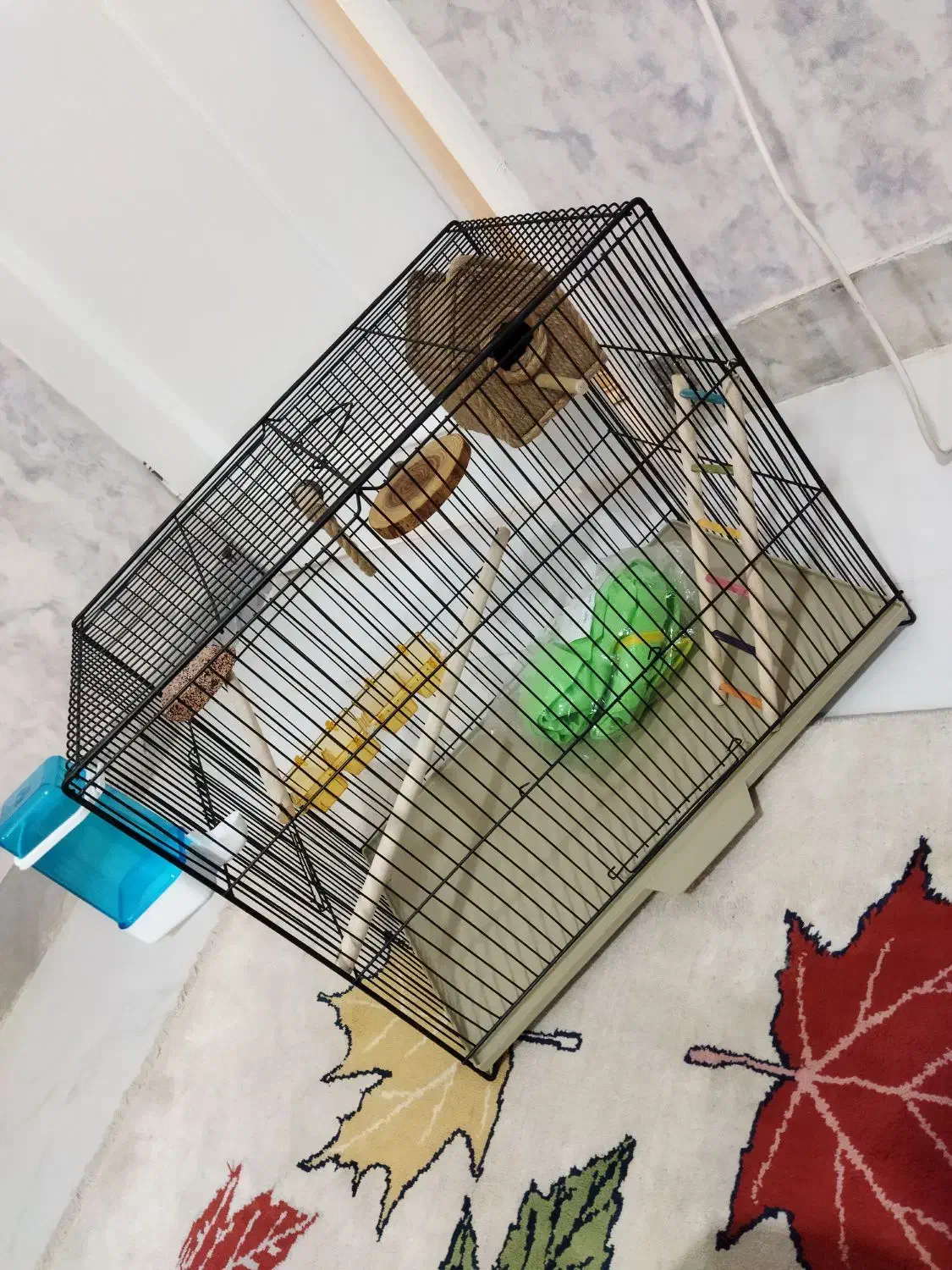 قفس پرنده|لوازم جانبی حیوانات|اصفهان, هفتون|دیوار